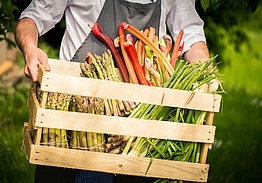 Mötesplats Borstahusen