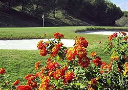 Doña Julia Golf Club