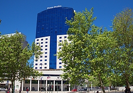 Dom Pedro Lisboa