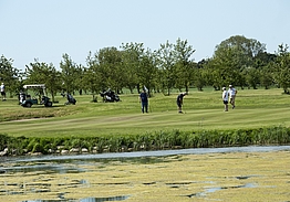 Halsted Kloster Golfklub