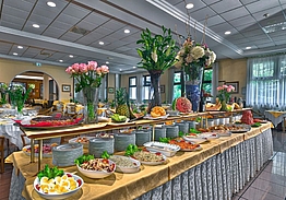 Hotel Petrarca Terme