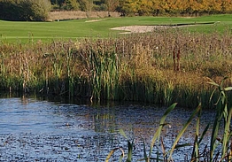 Midtfyns Golfklub
