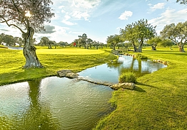 Robinson Quinta da Ria