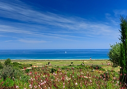 Palmares Resort - Ocean Living & Golf