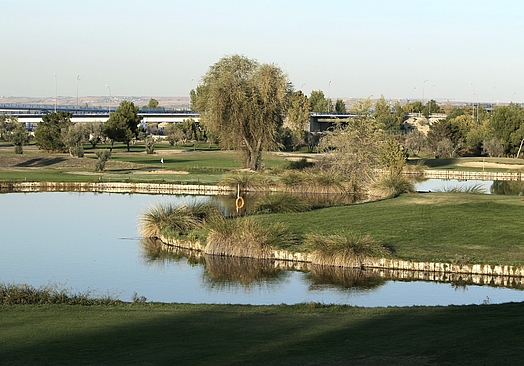 Club de Golf Olivar de la Hinojosa | Golf i Madrid