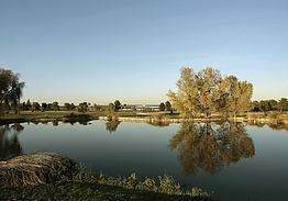 Club de Golf Olivar de la Hinojosa | Golf i Madrid