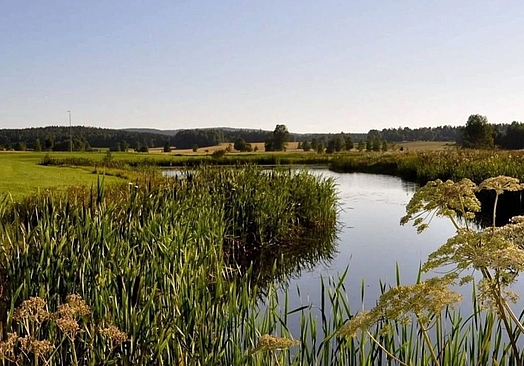 Romerike Golfklubb