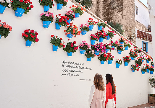 Alanda Marbella Hotel