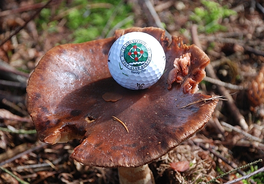 Hotel Kirchspiels Gasthaus