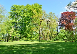 Altenhof Golf Club