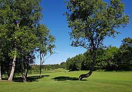 Sæby Golfklub