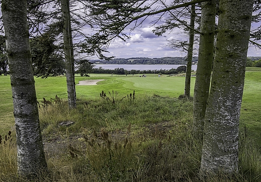 Mariagerfjord Golfklub | Golf & Gourmet