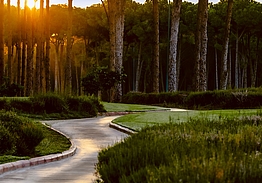 Carya Golf Club | Golf i Belek