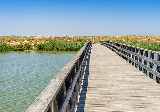 Wine & Books by the Sea