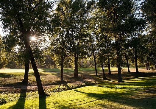 Circolo Golf Torino - La Mandria