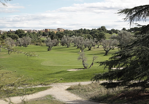 Club de Golf Olivar de la Hinojosa | Golf i Madrid