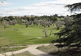 Club de Golf Olivar de la Hinojosa | Golf i Madrid