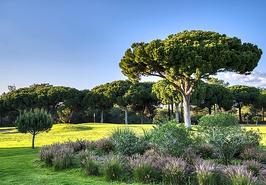 Pinhal Vilamoura | Golf i Algarve