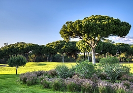 Pinhal Vilamoura | Golf i Algarve