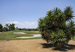Roda Golf & Beach Resort | Golf i Murcia
