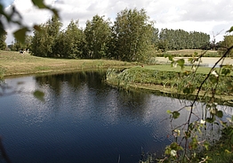 Marielyst Golfklub | Golf på Lolland-Falster