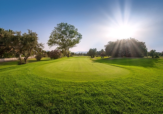 Oliva Nova Beach & Golf Resort