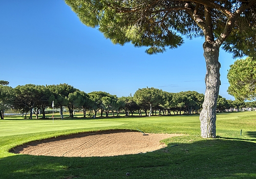 Pinhal Vilamoura | Golf i Algarve