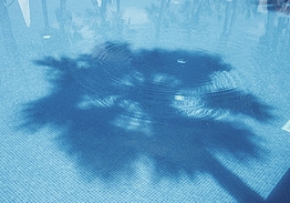 Wine & Books by the Sea