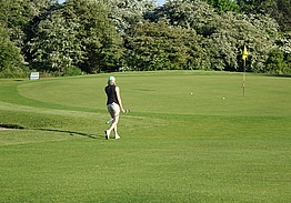 Husumer Bucht Golf Club