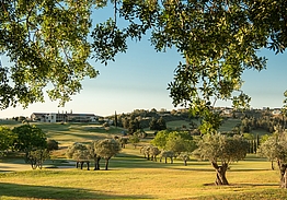 Minthis Golf Resort