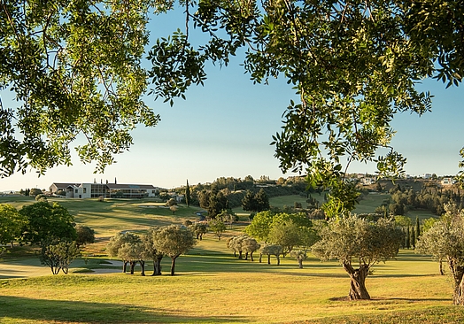 Minthis Golf Resort