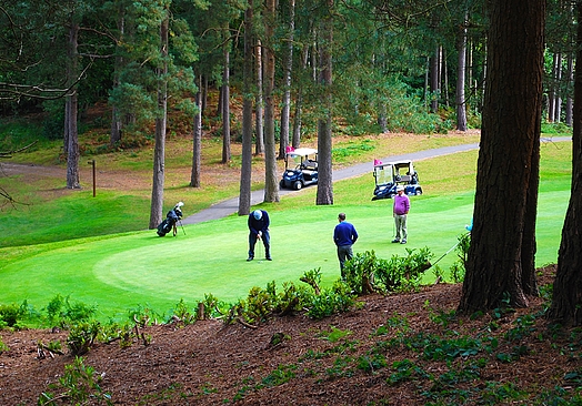 Old Thorns Hotel & Resort | Golf i England