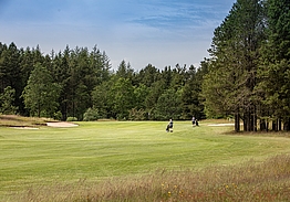 Holstebro Golfklub - Skovbanen Råsted