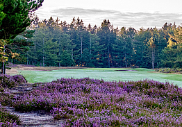 Holstebro Golfklub - Skovbanen Råsted