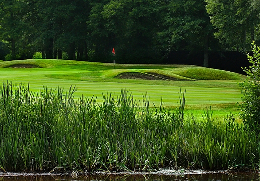 Old Thorns Hotel & Resort | Golf i England