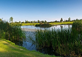 Roganstown Hotel & Country Club | Golf i Dublin