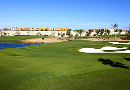 Palm Hills Golf Club