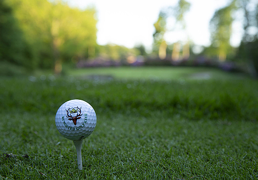 Rungsted Golf Klub