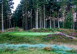 Holstebro Golfklub - Skovbanen Råsted