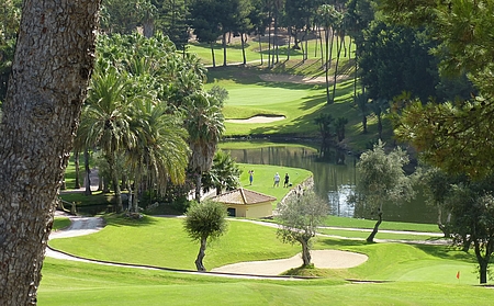 11. hul, par 3, er med en sø mellem tee og green det mest maleriske på Torrequebrada- banen. Også store palmetræer og et mangfoldigt fugleliv giver hullet karakter.