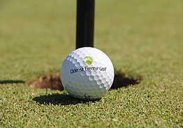 Odense Eventyr Golf | Golf på Fyn