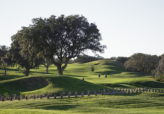 Real Sociedad Hípica Española Club de Campo | Golf i Madrid