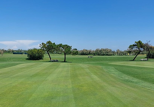 Albarella Golf Links