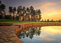 Albatross Golf Resort