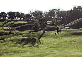 Real Sociedad Hípica Española Club de Campo | Golf i Madrid