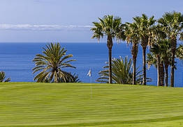 Hotel Jardín Tecina & Tecina Golf