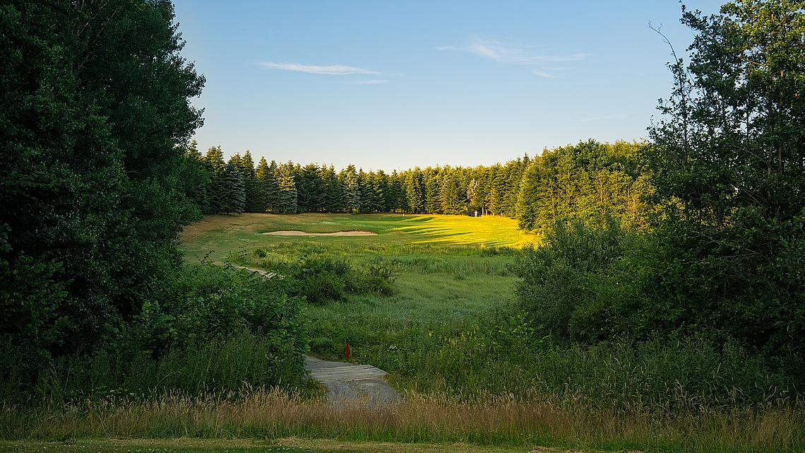 Langesø Golf - Danmarks Skjulte Golfperle Langesø Golf - Danmarks Skjulte Golfperle