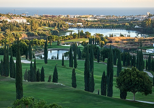Villa Padierna Golf Club | Flamingos