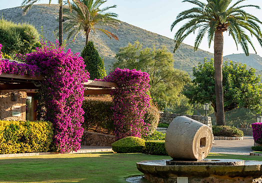 Alcanada Golf Club | Golf på Mallorca