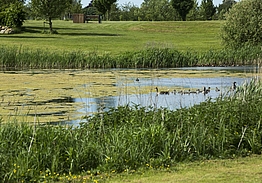 Halsted Kloster Golfklub